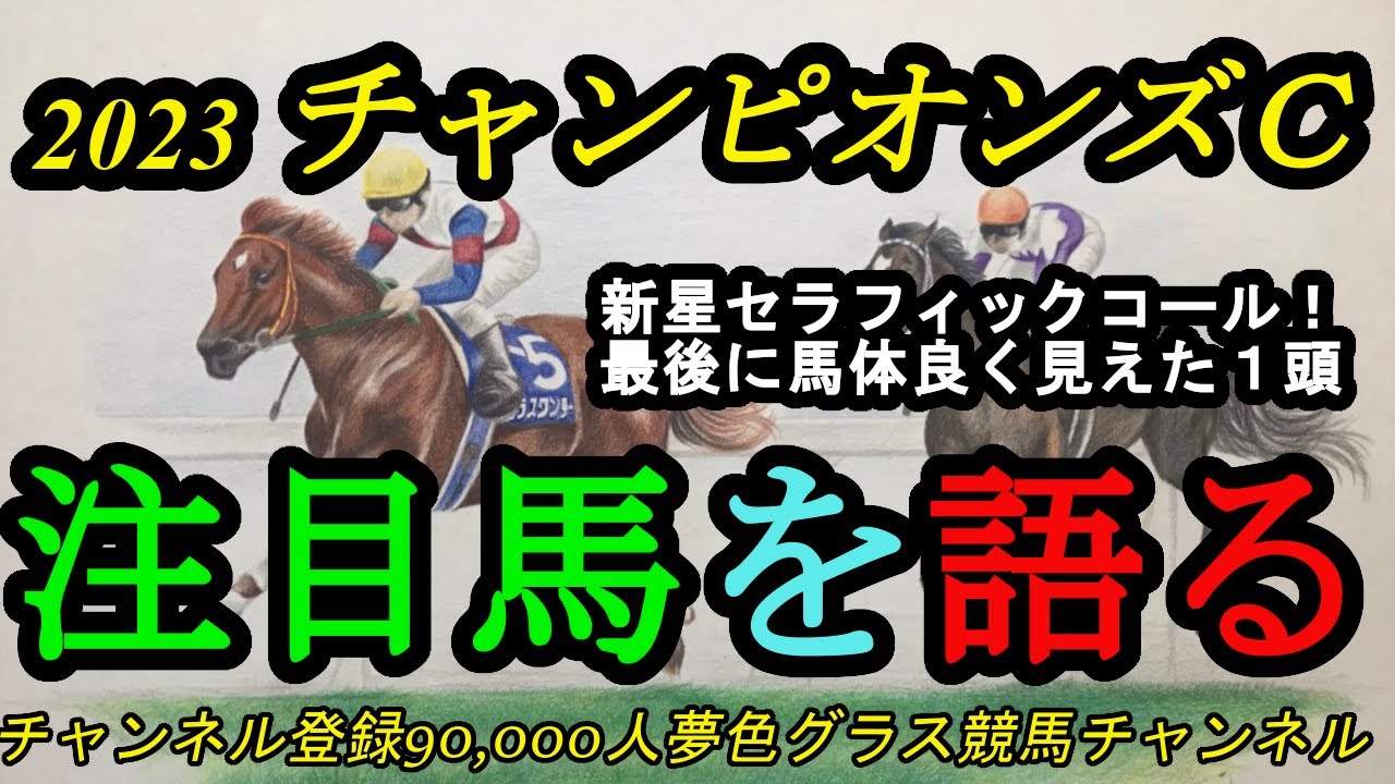 【注目馬を語る】2023チャンピオンズカップ！新星セラフィックコールは鞍上と合うけどコースは？最後に馬体が良く見えた馬をボソッと。