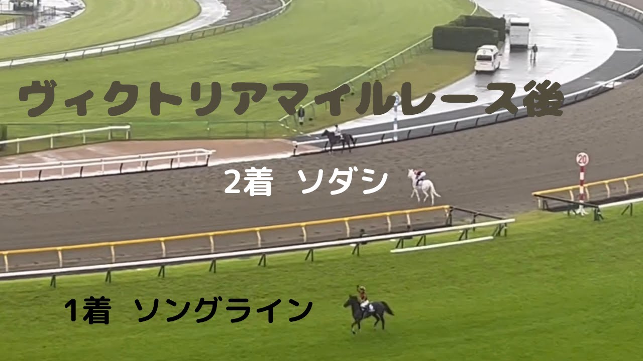 【現地画像】2023  ヴィクトリアマイル  レース後