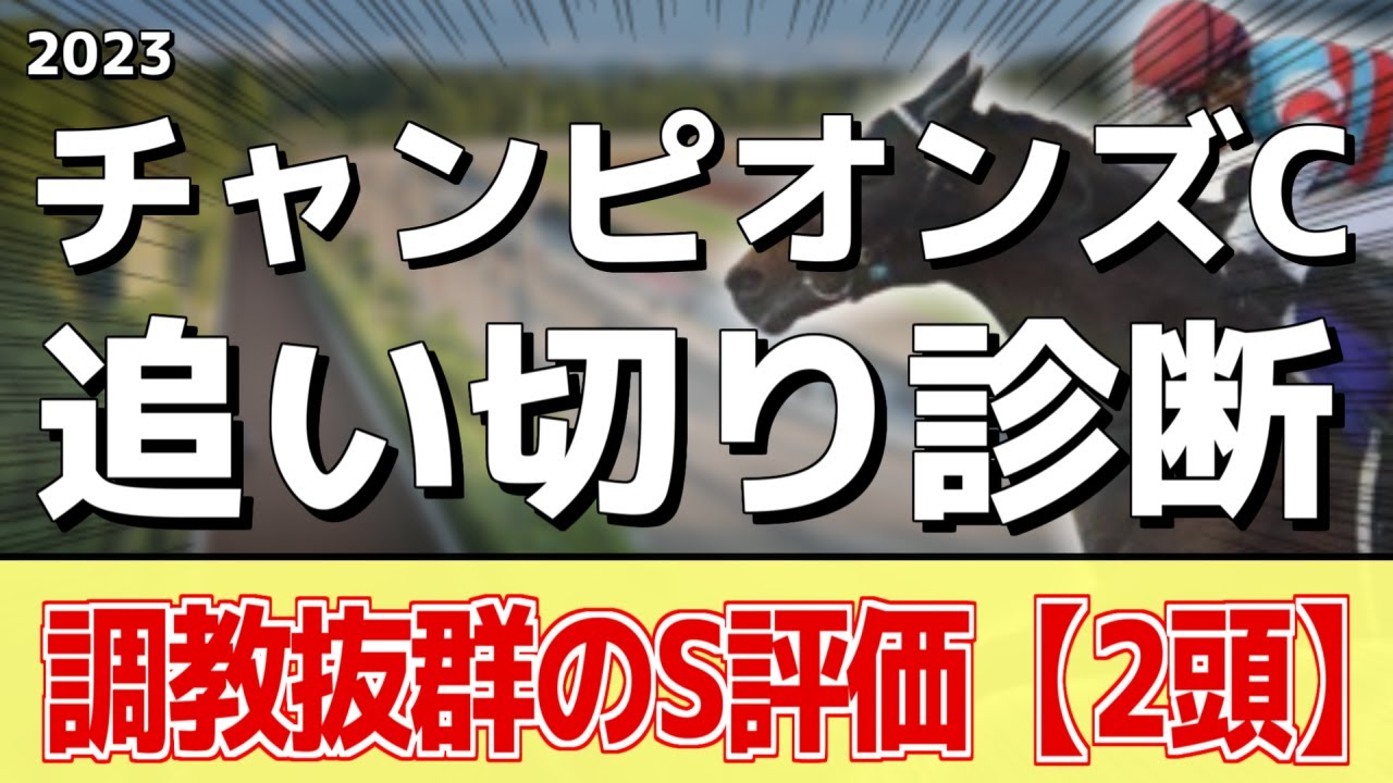 追い切り徹底解説！【チャンピオンズカップ2023】セラフィックコール、レモンポップなどの状態はどうか？調教S評価は2頭！