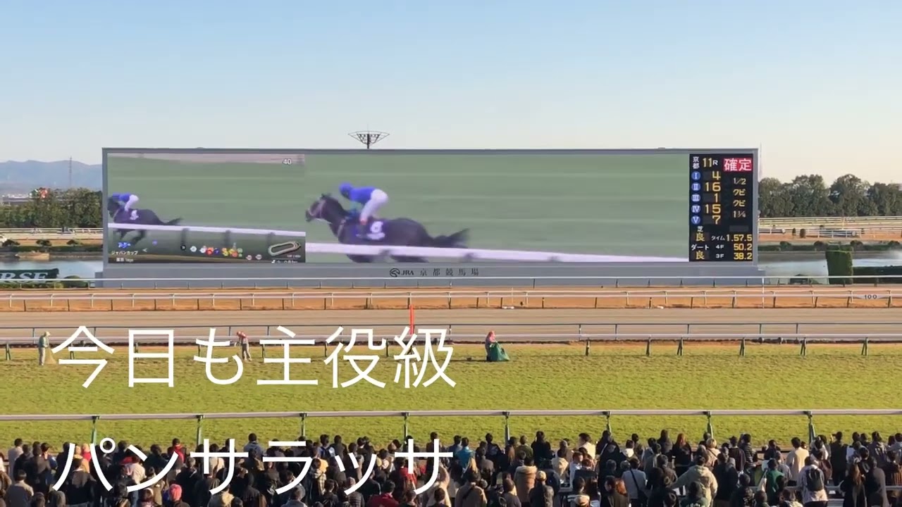 『JCパンサラッサ超絶大逃げ』に京都競馬場でも大声援大歓声！！