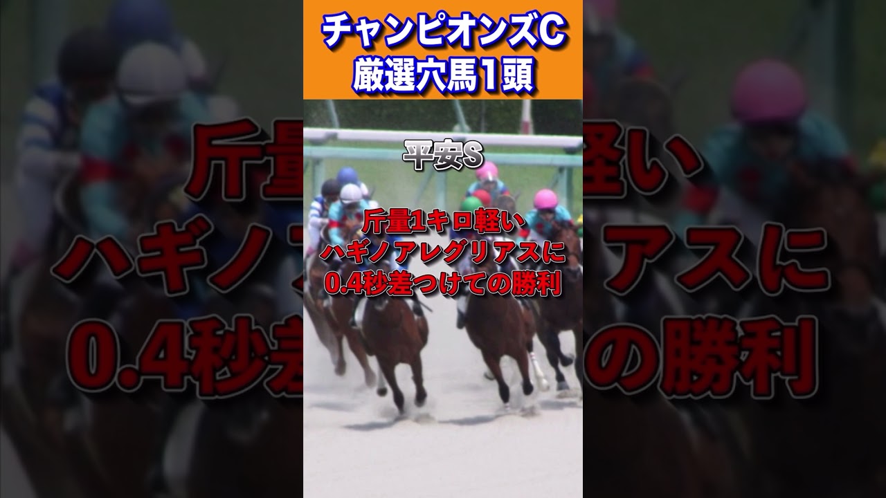 【チャンピオンズカップ2023厳選穴馬1頭】