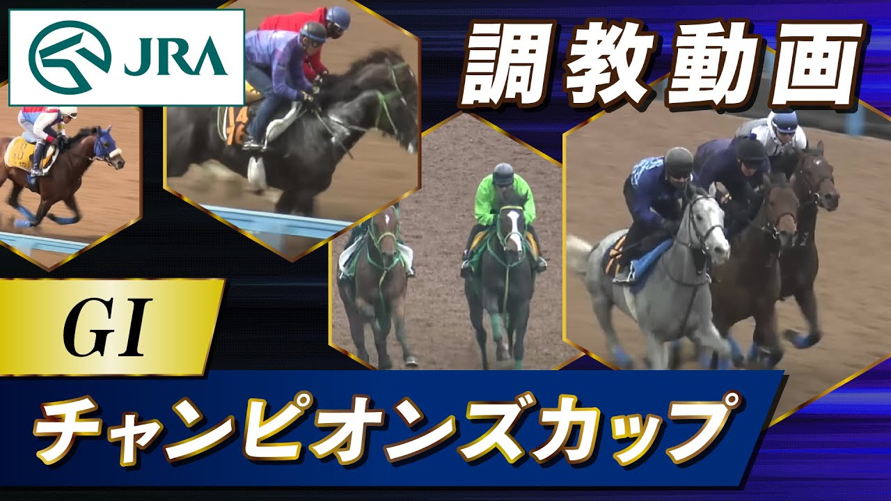 【調教動画】2023年 チャンピオンズカップ｜JRA公式