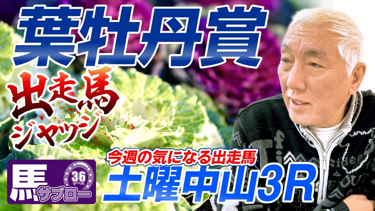 【葉牡丹賞】出走馬ジャッジ