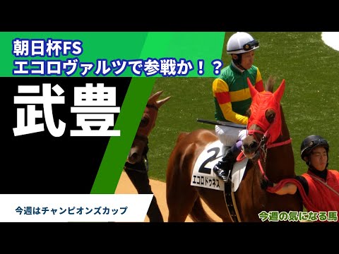 【武豊】朝日杯FSはエコロヴァルツで参戦！？ #ドウデュース #イクイノックス #ソーダズリング　#ライトクオンタム