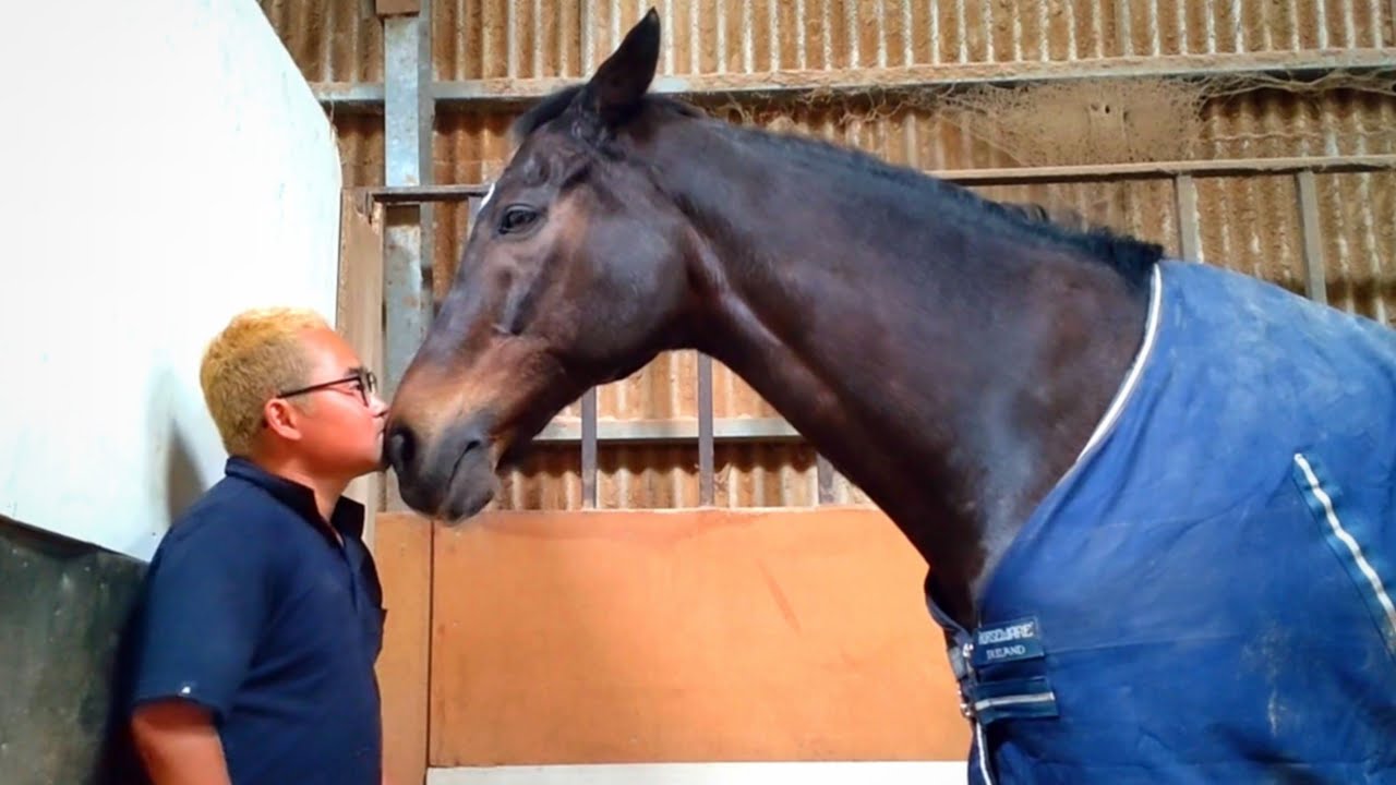 【重大発表(？)あり】19年前に6歳で安田記念を制したG1馬、ツルマルボーイ様の25歳になった今の姿がコチラです。【ツルマルボーイ様のシモベ】