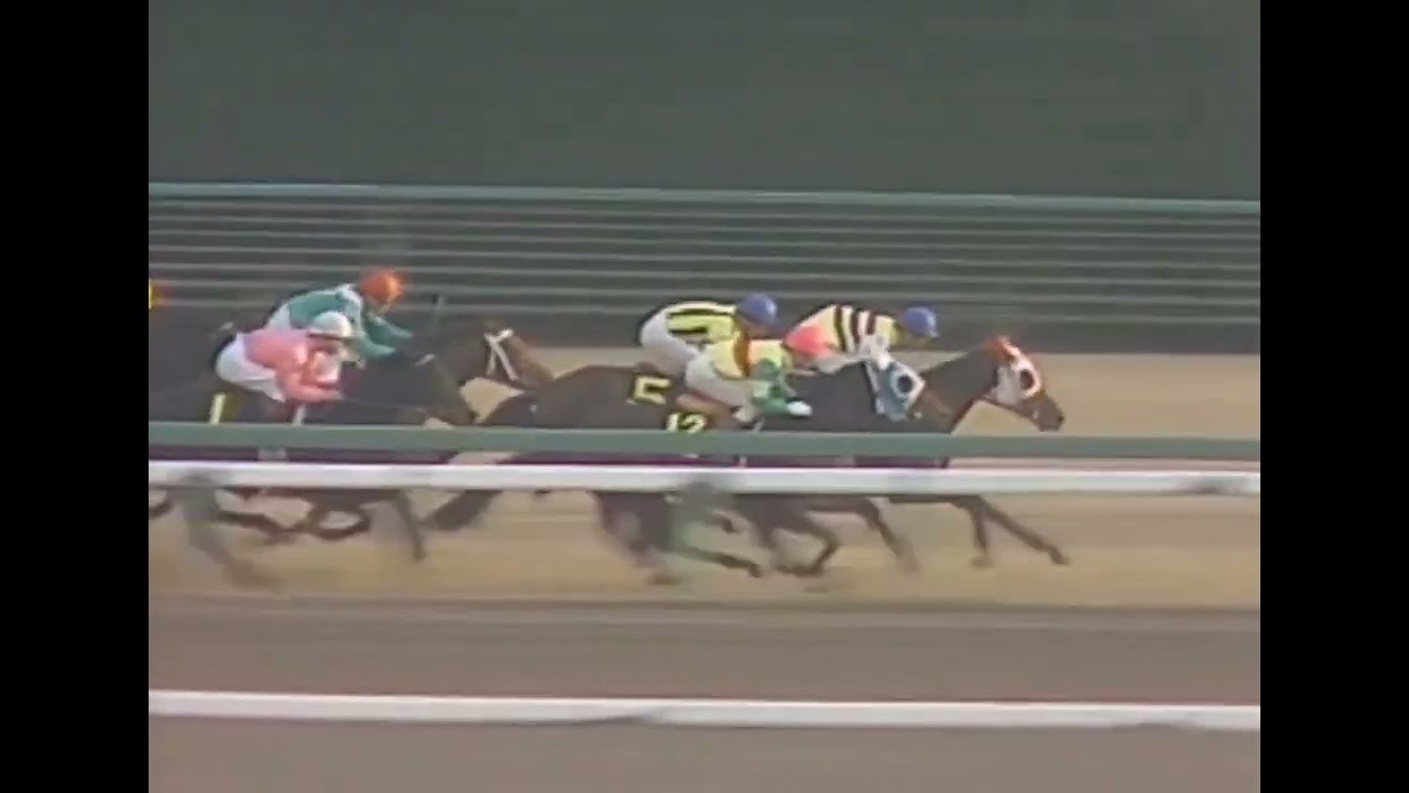 メジロラモーヌ 1985年 第2回テレビ東京賞3歳牝馬ステークス(GIII) (優勝馬：メジロラモーヌ)(実況：ラジオたんぱ)