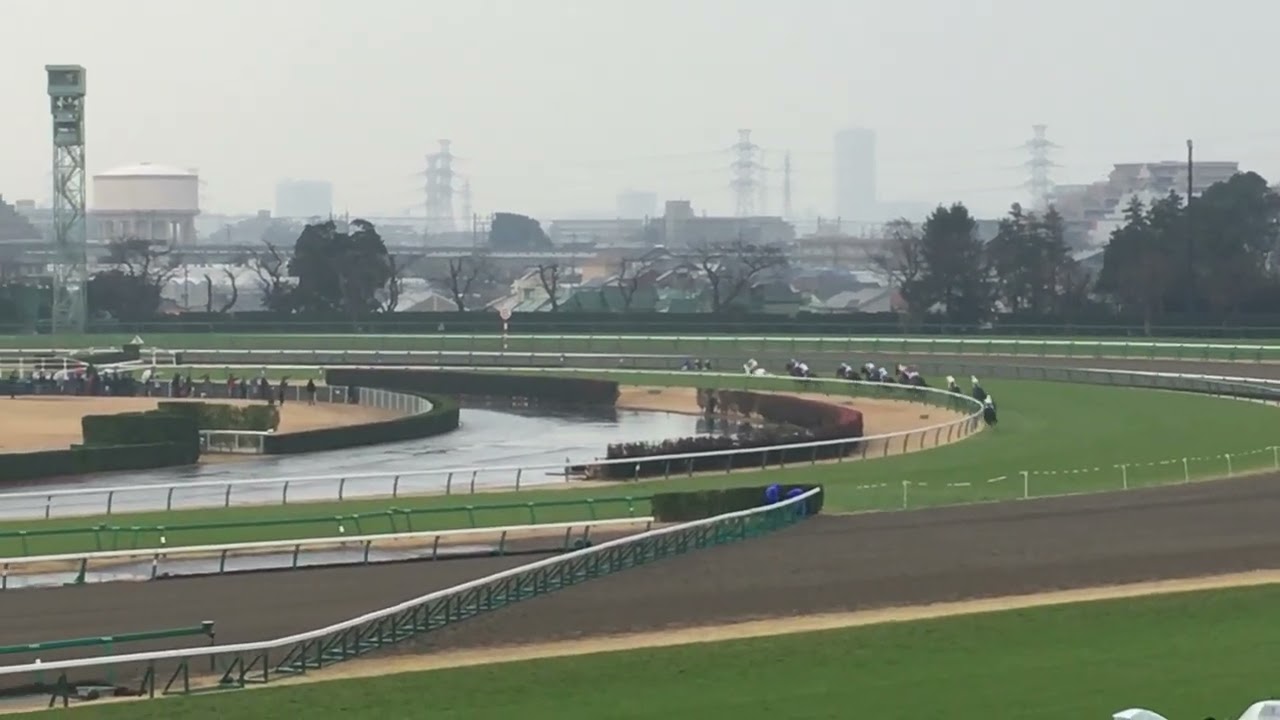 2018年中山大障害　ニホンピロバロン（レース中盤）