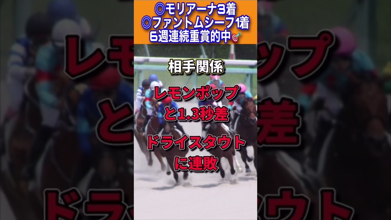 【フェブラリーステークス2023】30秒でわかるケイアイターコイズ