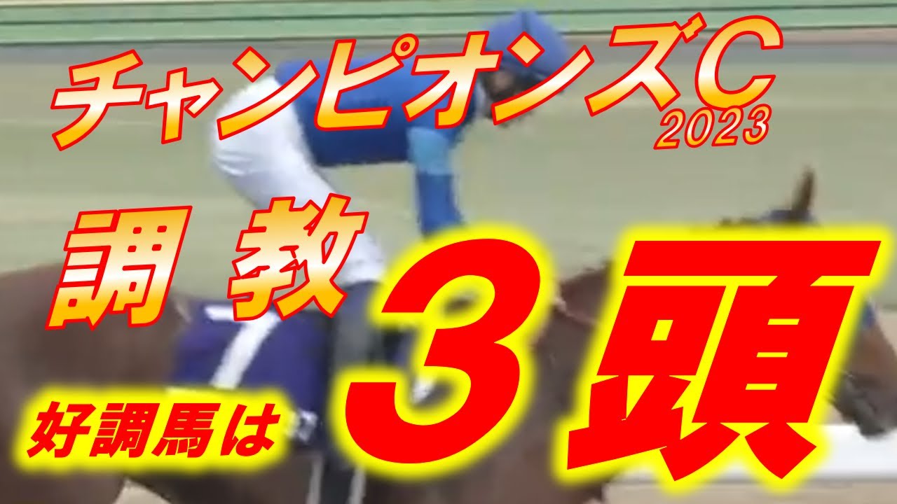 チャンピオンズカップ2023　追い切り診断‼　レモンポップ、テーオーケインズ、セラフィックコール等　元馬術選手のコラム by アラシ