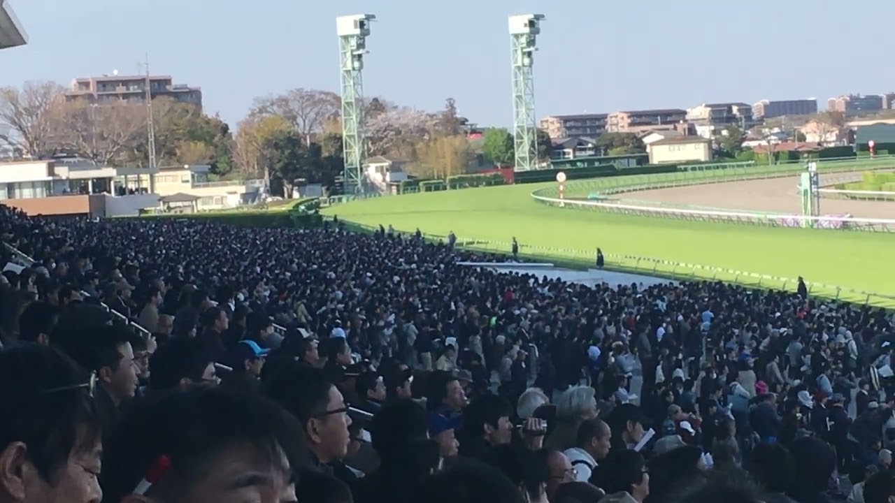2019年中山グランドジャンプ ファンファーレ