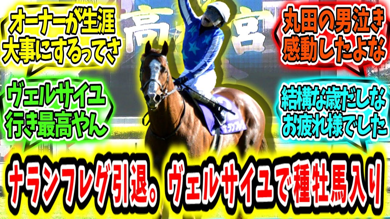 『男の別れだ‼ナランフレグ引退。ヴェルサイユリゾートファームで種牡馬入り‼』に対するみんなの反応【競馬の反応集】
