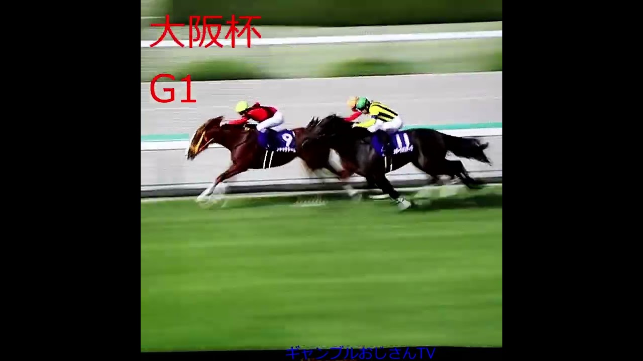 大阪杯　short　#shorts