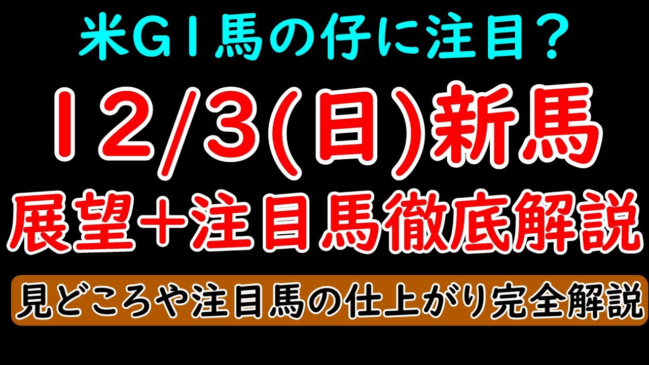 12/3(日)新馬戦展望+注目馬解説 芝の新馬は注目馬多い！？【POG23-24】
