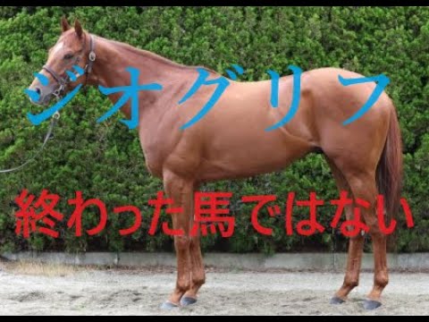 ジオグリフの復活はあるか？早熟や終わった馬では決してない