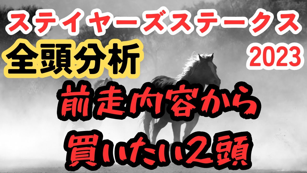 【ステイヤーズステークス2023】テーオーロイヤルやマイネルウィルトスよりも買いたい2頭とは？【全頭分析】