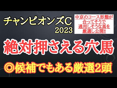 【チャンピオンズカップ2023】穴馬予想！中京のコース形態から想定される展開やメンバー構成から狙える馬を2頭厳選して公開！