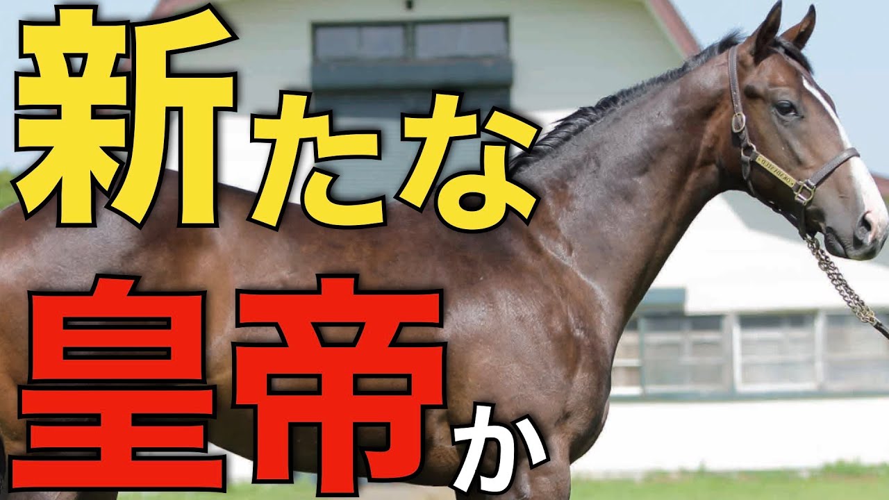 【世界レベル】競馬界に新たな皇帝誕生か！藤田晋さん所有シンエンペラーが強すぎた。