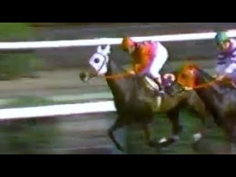 第３８回　皐月賞　ファンタスト　牡３　57　柴田政人　1978.4.16　　出走馬：インターグシケン、サクラショウリ、メジロイーグル、シービークロス、アグネスホープ、キタノコンゴウ、シルバーヤスユキ他