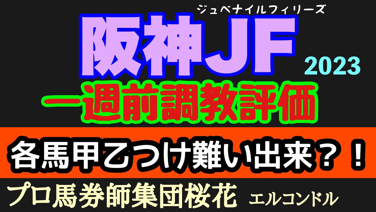 プロ馬券師集団桜花のエルコンドル氏の阪神ジュベナイルフィリーズ2023一週前調教評価！！前哨戦から荒れた今年の2歳戦！一週前の動きも各馬差はないか？！