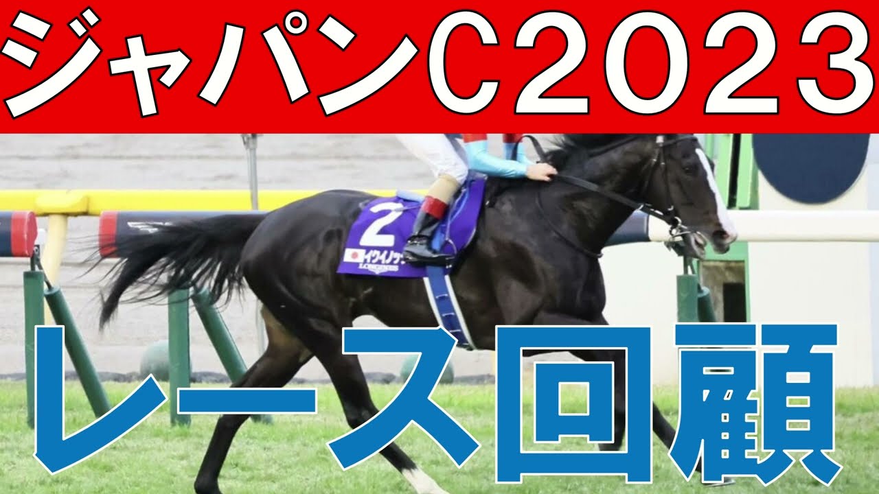 ジャパンカップ 回顧  2023　イクイノックスの強さ　次走も注目したい馬