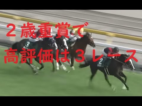 全２歳重賞チェック  G１好走レベルの馬は！？先週ウィルソンテソーロ推奨！！