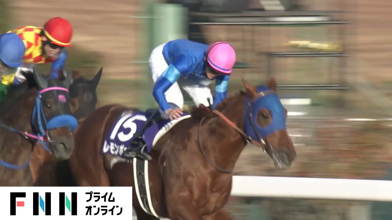 【チャンピオンズカップ】レモンポップが逃げ切り圧勝“真のダート王”に　2着に12番人気で3連単大荒れ