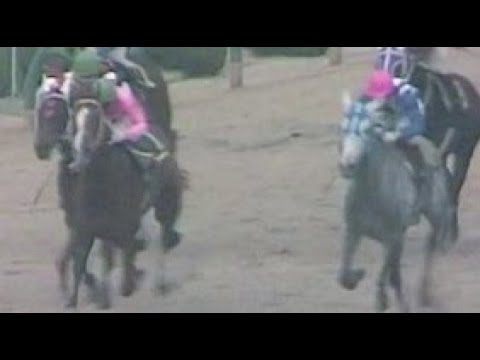 第３０回　サンケイ大阪杯 （ＧⅡ）　サクラユタカオー　牡４　56　小島太　1986.3.30　　出走馬：スダホーク、シャイニングルビ、スピードヒーロー、フリートホープ、ライフタテヤマ他