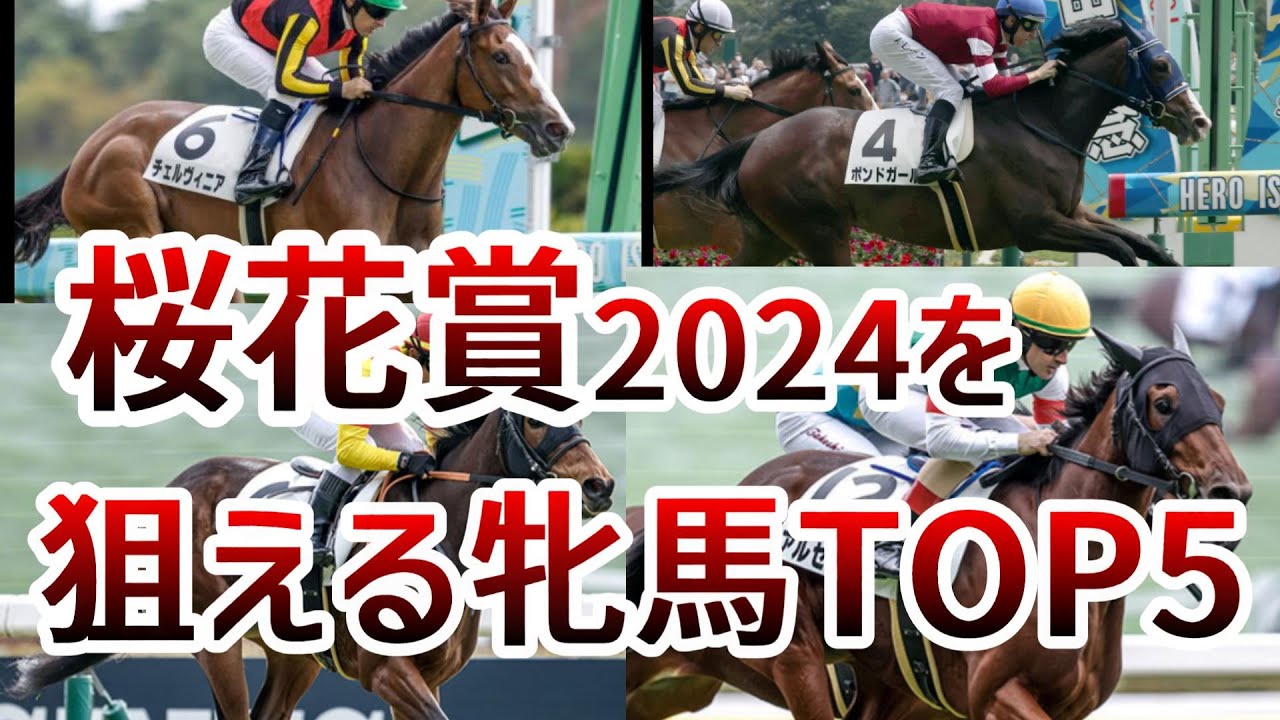 桜花賞2024を狙えそうな牝馬TOP5    2023年末編