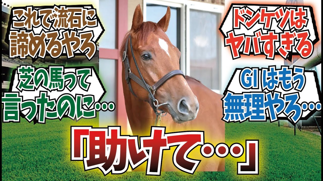 「大阪杯で待ってるよ」に対するみんなの反応集