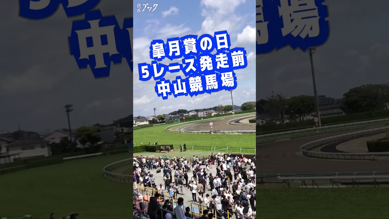 皐月賞の日のスタンド #shorts