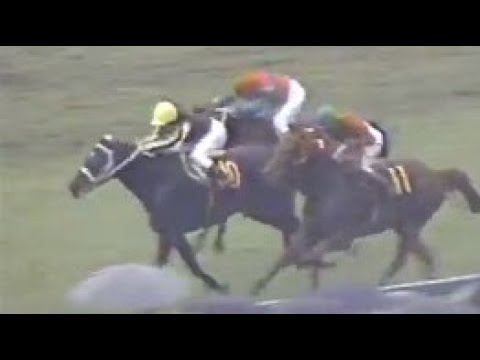 第４０回　皐月賞　ハワイアンイメージ　牡３　57　増沢末夫　1980.4.13　　出走馬：オペックホース、ハワイアンジュエル、モンテプリンス、サーペンプリンス、ハーバーシャレード、サクラシンゲキ他