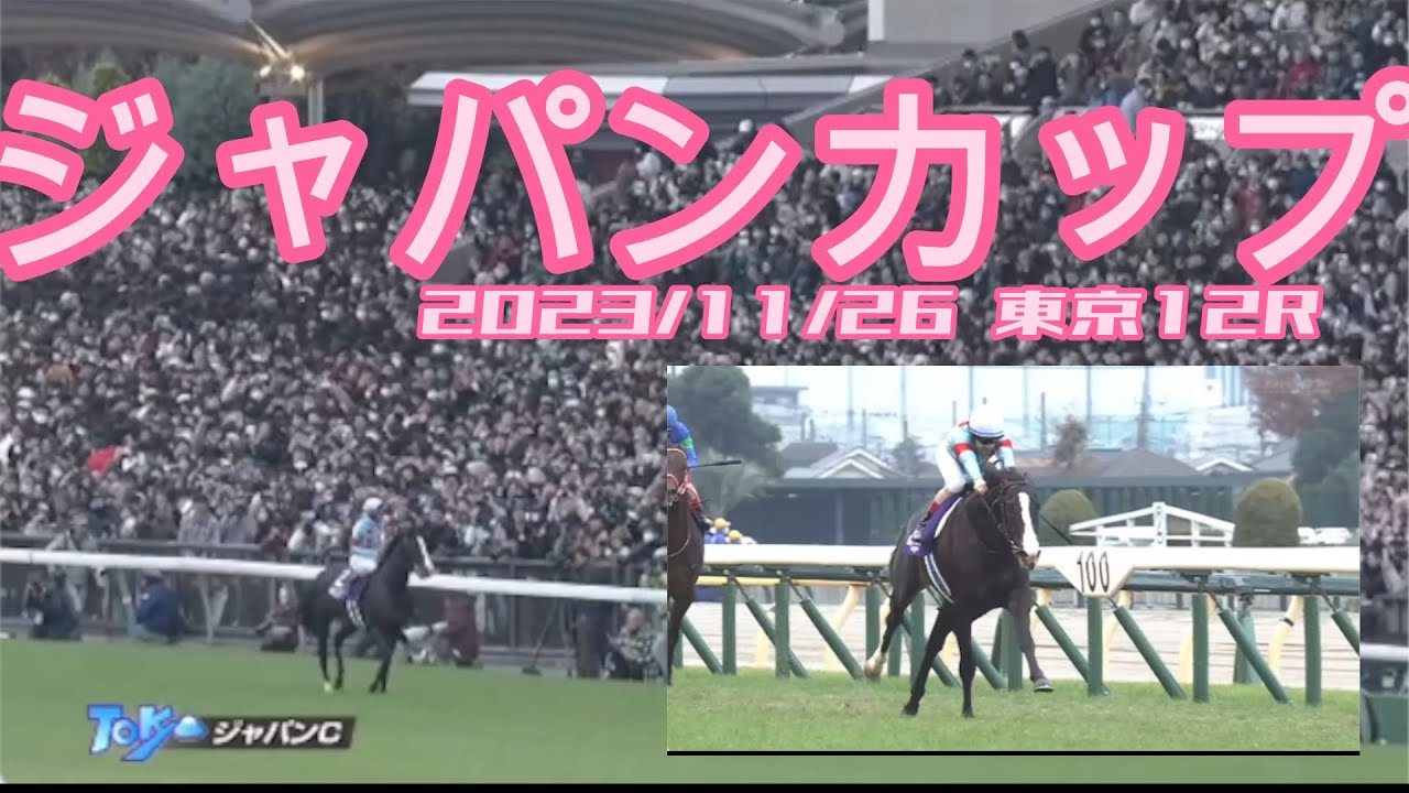 【画質('ω')】2023/11/26  ジャパンカップ　Japan Cup    #イクイノックス