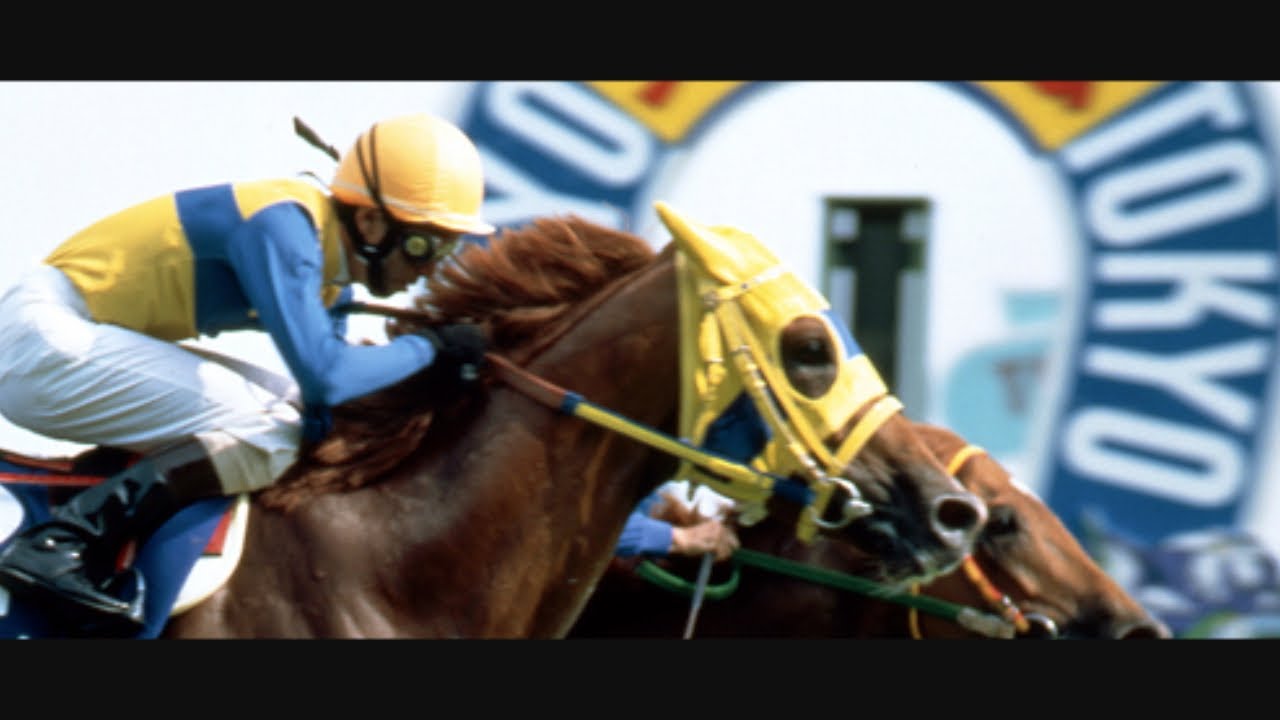 【競馬MAD】東京空域聖戦【安田記念】