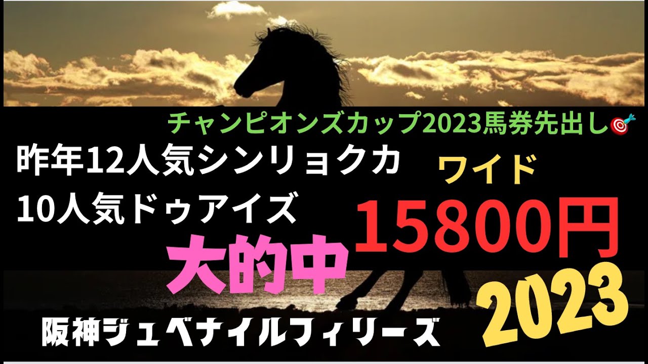 阪神ジュベナイルフィリーズ2023の競馬予想。サイン準備動画。続きの動画もお楽しみに。