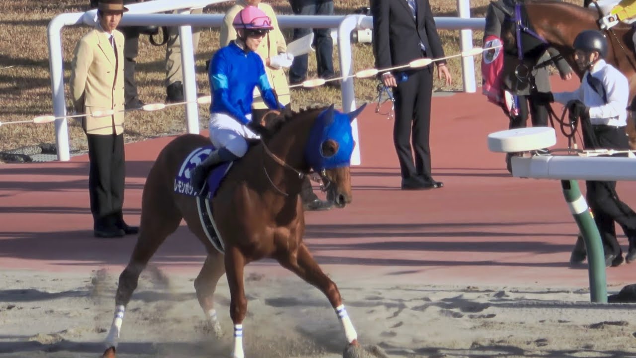 【チャンピオンズカップ2023】返し馬でレモンポップがダンスを披露 現地映像