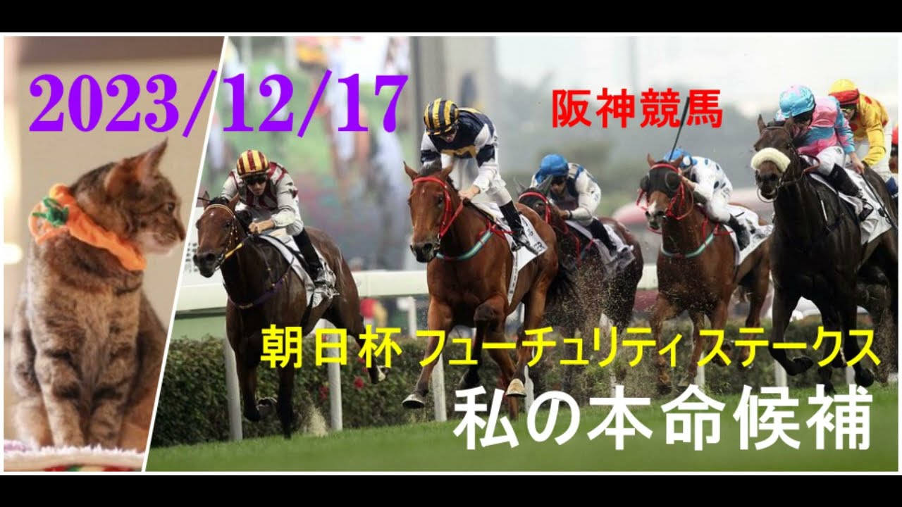2023/12/17　阪神競馬　朝日杯 フューチュリティ ステークス（ＧⅠ）私の本命候補