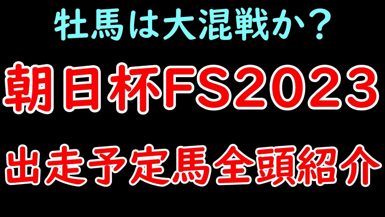 朝日杯FS2023出走予定馬を全頭紹介！牡馬は大混戦？シュトラウスは出走してくるのか？【朝日杯フューチュリティステークス2023】