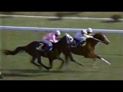 ■ 第４８回　皐月賞 （ＧⅠ）　ヤエノムテキ　牡３　57　西浦勝一　1988.4.17　　出走馬：ディクターランド 、サクラチヨノオー 、カシママイテー、トウショウマリオ、ラガーブラック他