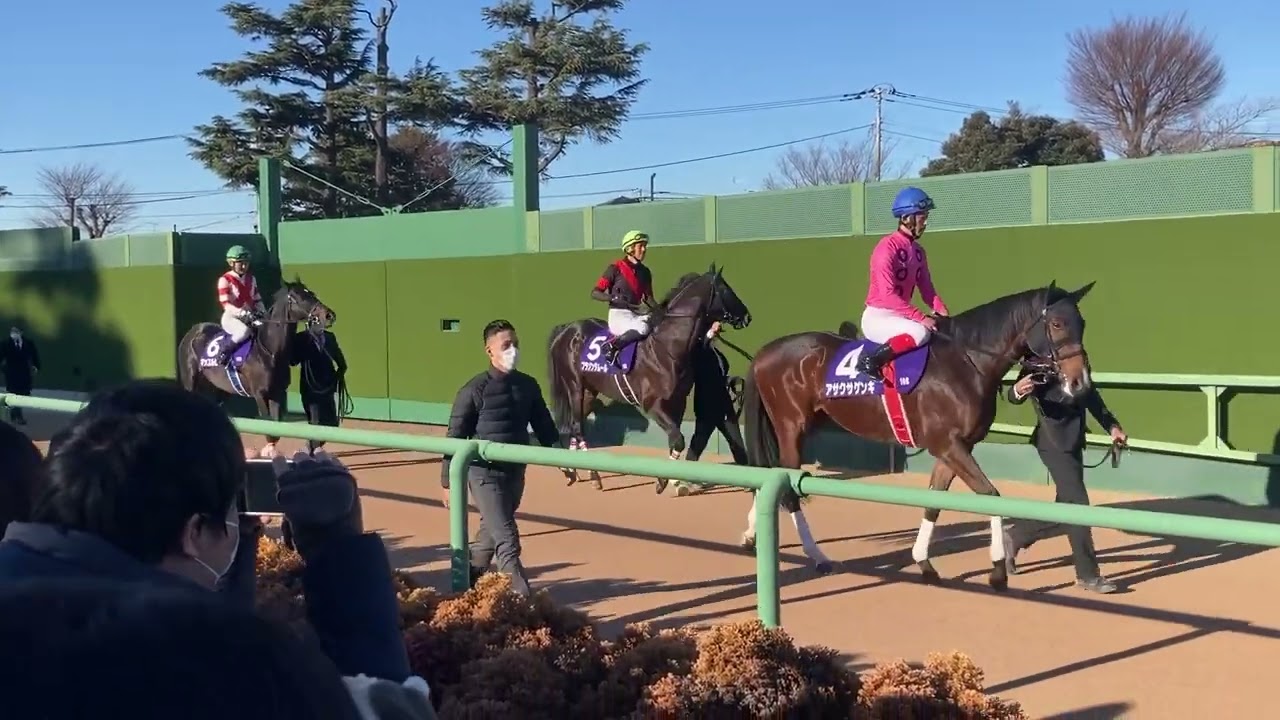 20221224中山大障害　オジュウチョウサン最後の本馬場入場