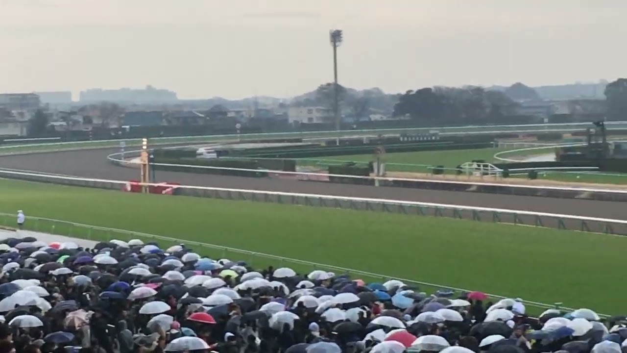 2018年中山大障害　ニホンピロバロン（レース途中から）