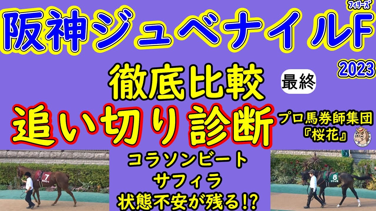 阪神ジュベナイルフィリーズ2023追い切り診断！主に有力と言われる馬をピックアップして紹介！人気を集めそうな馬の状態に疑問が残るだけに面白いレースになりそうだ！