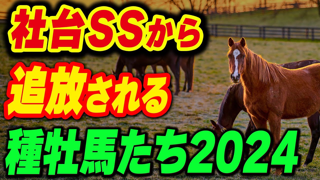社台から追放される種牡馬2024