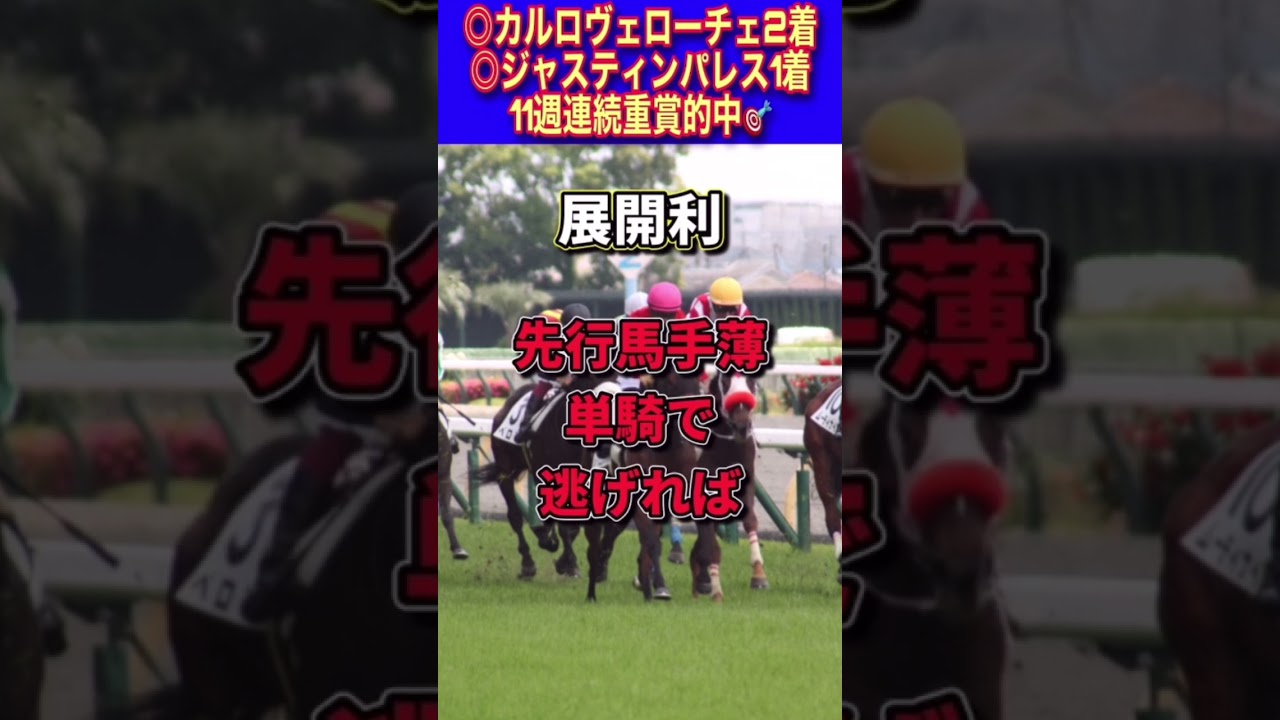 【高松宮記念2023】30秒でわかるオパールシャルム