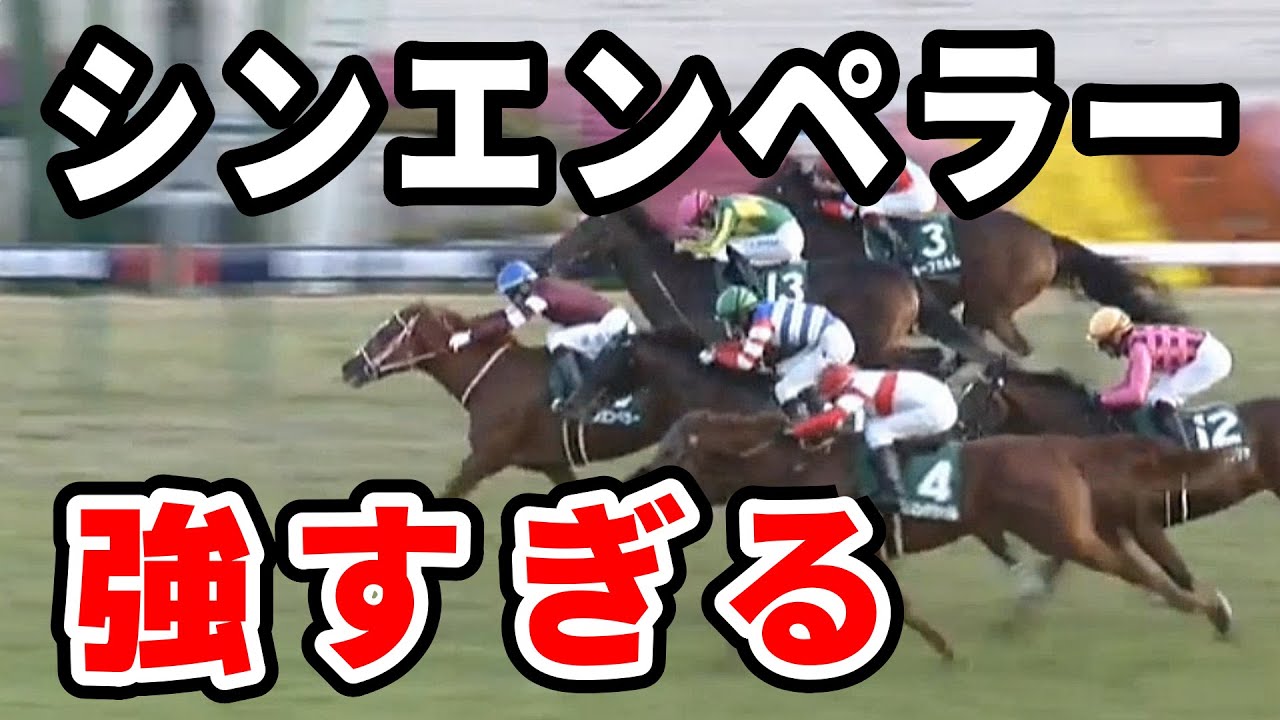 【京都2歳S】シンエンペラー強すぎワロタ　凱旋門賞馬ソットサスの全弟