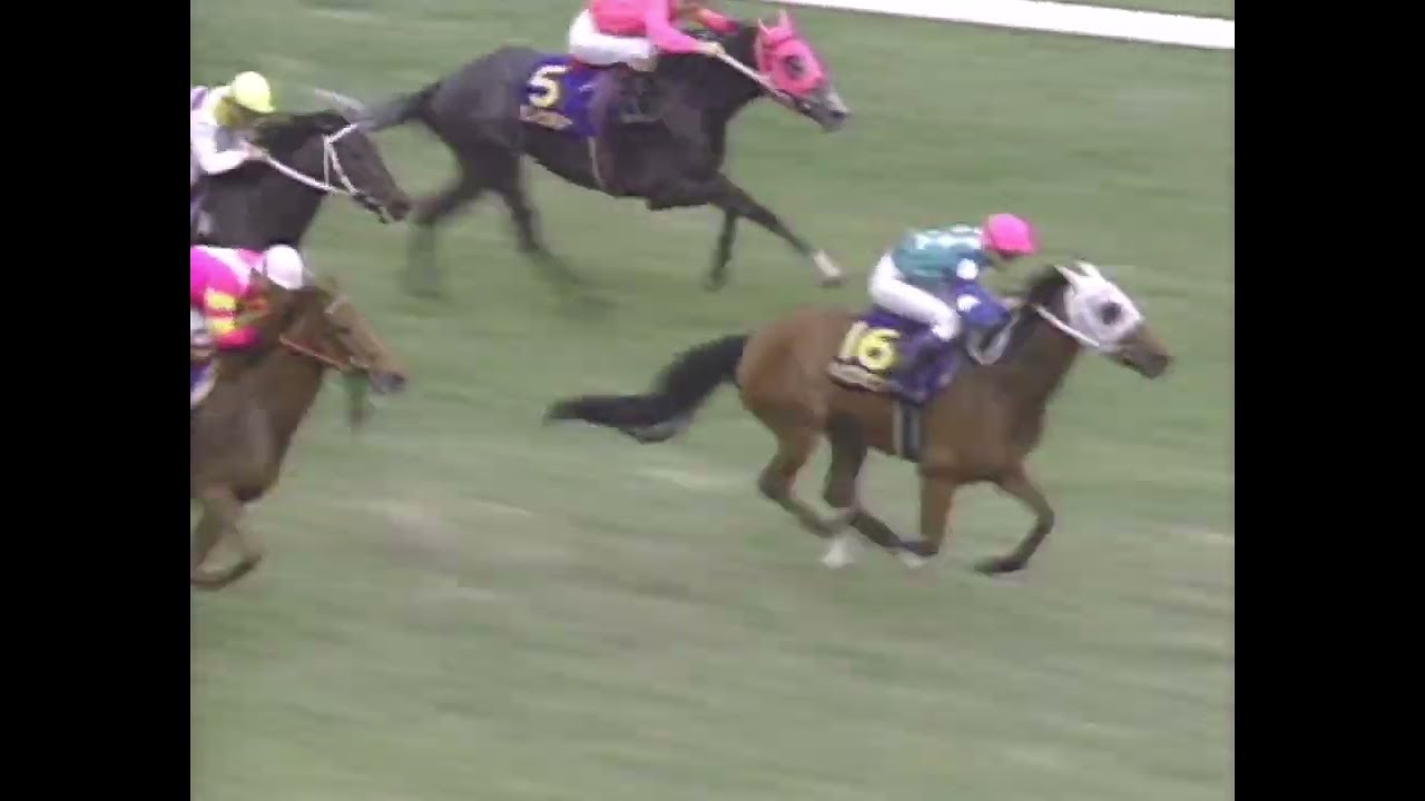 ニシノフラワー 1992年 第53回優駿牝馬(オークス)(GI) (優勝馬：アドラーブル)