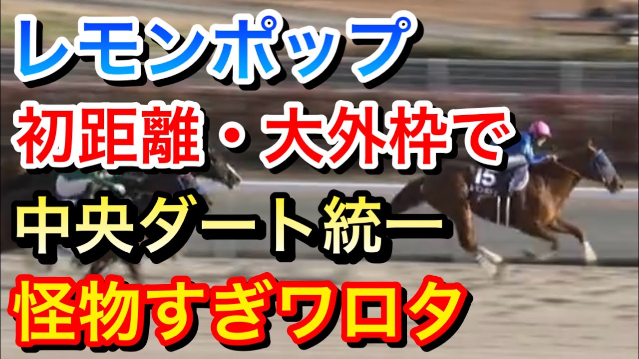 【チャンピオンズカップ2023】レモンポップが初距離・大外枠の不利を跳ね返し完勝！強すぎワロタ