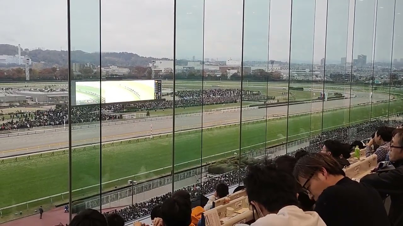 2023/11/26第43回ジャパンカップS席イクイノックス！リバティアイランド！