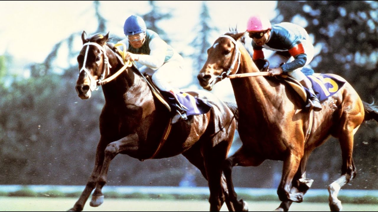 第９１回　天皇賞（春）（ＧⅠ）　シンボリルドルフ　牡４　58　岡部幸雄　1985.4.29　　出走馬：サクラガイセン、スズカコバン、ニシノライデン、ミスターシービー、ゴールドウェイ他　実況：杉本清