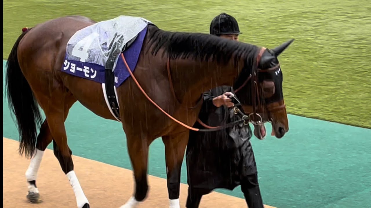 【NHKマイルカップ2023】開いた口が塞がらないショーモン