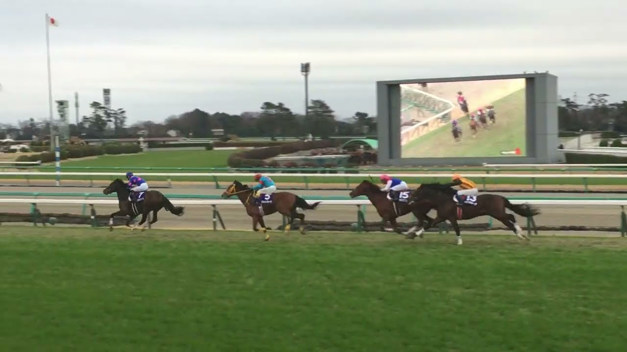 2019年中山大障害　直線入口　シングンマイケル